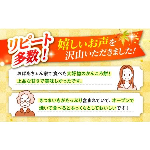 ふるさと納税 和菓子 もち菓子 長崎県 西海市 かんころもち 優しい甘さが大人気 昔ながらの かんころ餅 230g×6本 株式会社旨菓堂 CFC001 長崎 西海 かんころ…の画像