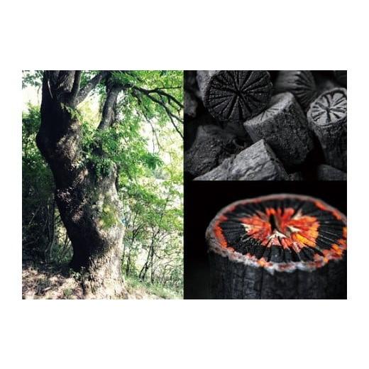 ふるさと納税 木工品・竹工品 兵庫県 川西市 No.049-06 菊炭(インテリア用 飾り炭) インテリア用 飾り炭