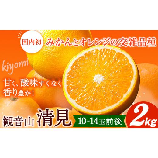 ふるさと納税 みかん・柑橘類 和歌山県 紀の川市 観音山清見 2kg (約10玉-14玉前後) 有限会社柑香園[2027年3月中旬-4月中旬頃出荷]和歌山県 紀の川市 フルー…