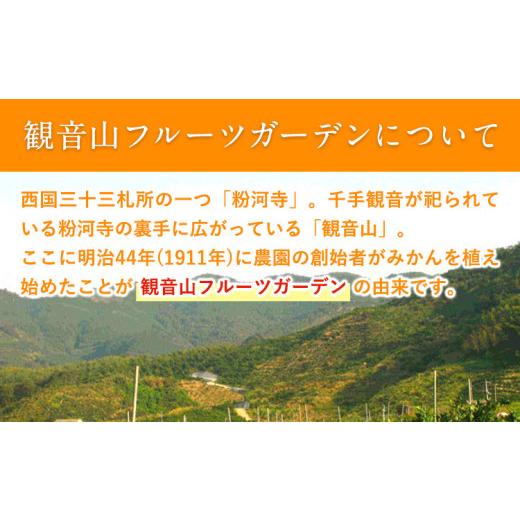 ふるさと納税 みかん・柑橘類 和歌山県 紀の川市 観音山清見 3kg (約15玉-21玉前後) 有限会社柑香園《2027年3月中旬-4月中旬頃出荷》和歌山県 紀の川市 フルー…_3