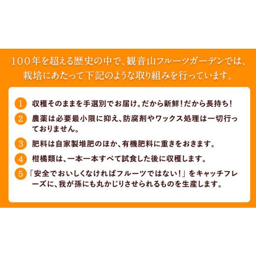 ふるさと納税 みかん・柑橘類 和歌山県 紀の川市 観音山清見 3kg (約15玉-21玉前後) 有限会社柑香園《2027年3月中旬-4月中旬頃出荷》和歌山県 紀の川市 フルー…_4