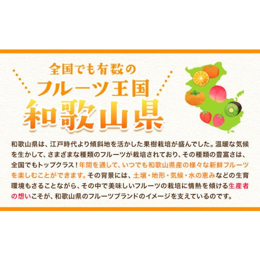 ふるさと納税 みかん・柑橘類 和歌山県 紀の川市 観音山清見 3kg (約15玉-21玉前後) 有限会社柑香園《2027年3月中旬-4月中旬頃出荷》和歌山県 紀の川市 フルー…_5