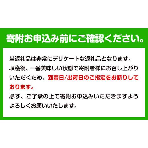 ふるさと納税 みかん・柑橘類 和歌山県 紀の川市 観音山清見 3kg (約15玉-21玉前後) 有限会社柑香園《2027年3月中旬-4月中旬頃出荷》和歌山県 紀の川市 フルー…_6