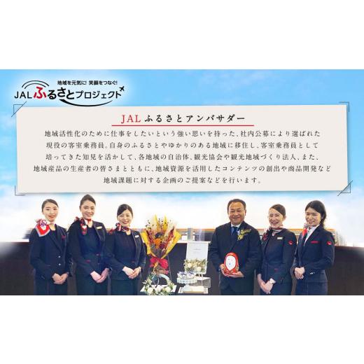 ふるさと納税 花・苗木 大分県 竹田市 年4回定期便 季節のドライフラワー JALふるさとアンバサダーコラボ商品_2