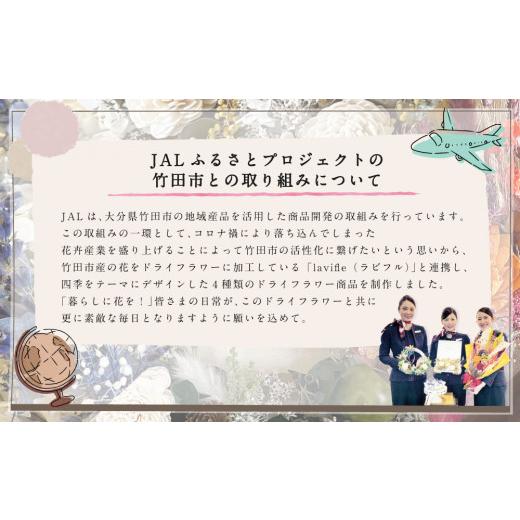 ふるさと納税 花・苗木 大分県 竹田市 年4回定期便 季節のドライフラワー JALふるさとアンバサダーコラボ商品_3