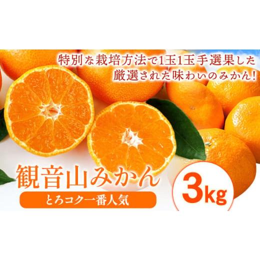 ふるさと納税 果物類 みかん 和歌山県 紀の川市 みかん ギュッとうま味を凝縮 観音山みかん とろコク一番人気 3kg 有限会社柑香園[2025年11月中旬-1月下旬頃…