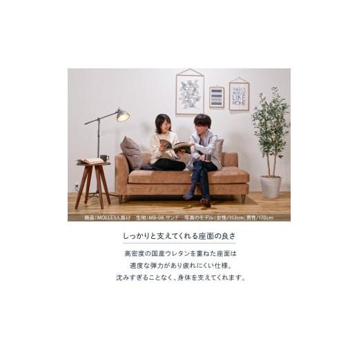 ふるさと納税 家具 インテリア・寝具・収納 北海道 石狩市 blocco MOLLE（モーレ）3人掛けソファ 片肘／55角クッション×2個付き／ペット対応生地 ｜ブロッコ …の画像