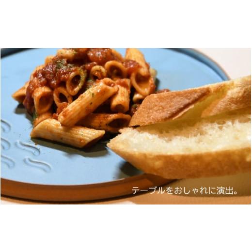 ふるさと納税 陶磁器・漆器・ガラス 福井県 越前町  e40-c001 越前焼 プレート「大地と海」水色・大中小 3点セット 食洗器 電子レンジ 対応の画像