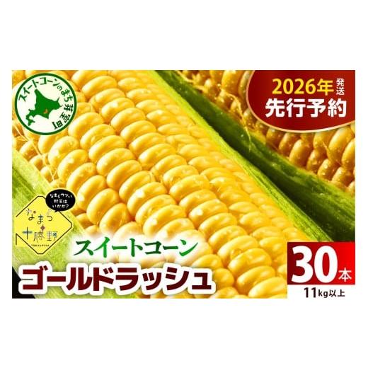 ふるさと納税 とうもろこし 北海道 芽室町 先行受付 2026年7月下旬〜8月15日頃配送 北海道十勝芽室町 なまら十勝野のスイートコーン ゴールドラッシュ(30本) …