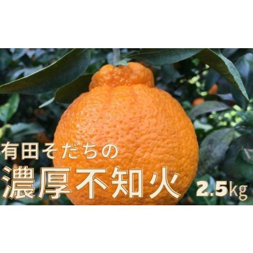 ふるさと納税 みかん・柑橘類 デコポン 和歌山県 串本町 先行予約 有田育ちの濃厚不知火(ご家庭用)(通称デコポン) 約2.5kg ard020B