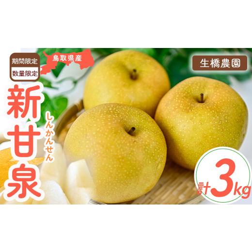 ふるさと納税 梨 鳥取県 倉吉市 新甘泉 鳥取県産 3kg(生橋農園) 鳥取 梨 3kg 果物 フルーツ 和梨 先行予約 数量限定 新甘泉 詰め合わせ 新品種