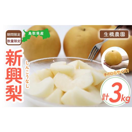 ふるさと納税 梨 鳥取県 倉吉市 新興梨 3kg 鳥取県産 (生橋農園) 梨 ナシ なし ブランド梨 しんこうなし 鳥取 果物 フルーツ 和梨 先行予約 数量限定 詰め合…