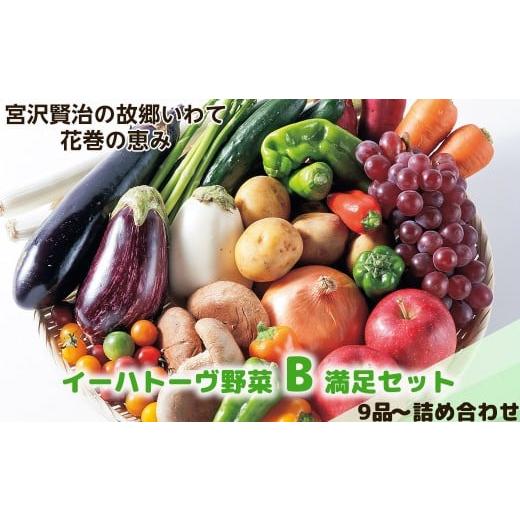 ふるさと納税 セット・詰合せ 岩手県 花巻市 イーハトーヴ野菜B 満足セット 9品〜 詰め合わせ 1203の画像