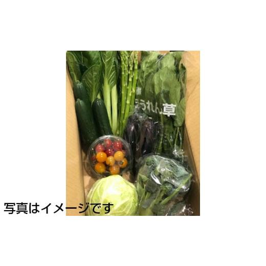 ふるさと納税 セット・詰合せ 岩手県 花巻市 イーハトーヴ野菜B 満足セット 9品〜 詰め合わせ 1203の画像