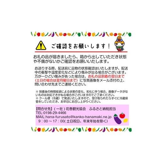 ふるさと納税 セット・詰合せ 岩手県 花巻市 イーハトーヴ野菜B 満足セット 9品〜 詰め合わせ 1203の画像