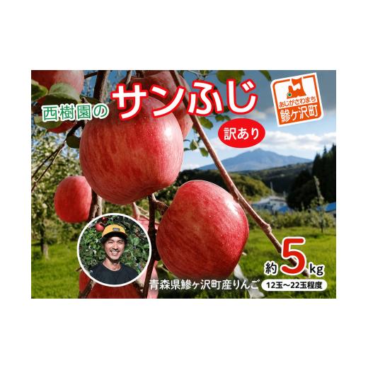 ふるさと納税 りんご 青森県 鰺ヶ沢町 [先行予約] りんご 訳あり サンふじ 青森県産 約 5kg (12〜22玉) 家庭用 フルーツ 果物 ふじ 産地直送 お取り寄せ 送…