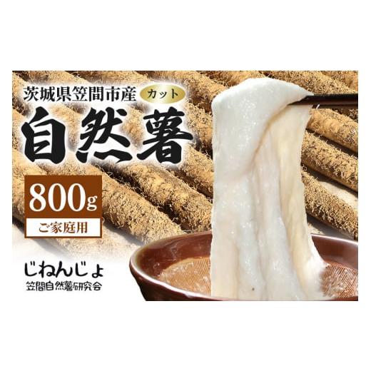 ふるさと納税 人参・大根・他根菜 茨城県 笠間市 笠間自然薯研究会の自然薯カット ご家庭用 約800g 笠間自然薯研究会 自然薯 長芋 山芋 とろろ とろろご飯 野…