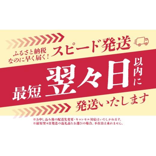 ふるさと納税 美容 入浴剤 大分県 別府市  冷え性にお悩みの方へ 限りなく天然温泉に近い入浴剤「HAA for bath 900g」（3袋） 3袋(計2.7kg)の画像