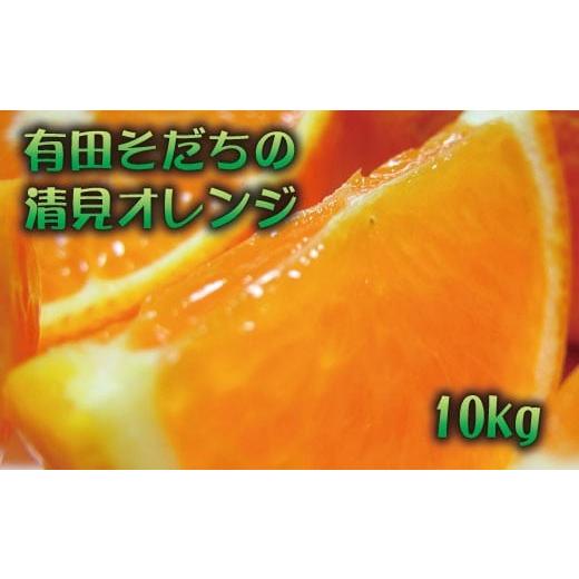 ふるさと納税 みかん・柑橘類 オレンジ 和歌山県 古座川町 有田育ちの清見オレンジ(ご家庭用) 10kg+200g(補償分) 2027年2月下旬〜5月上旬頃に順次発送予定 ar…