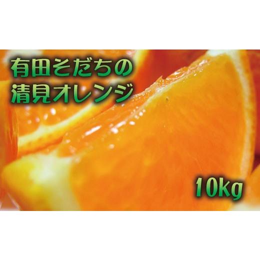 ふるさと納税 みかん・柑橘類 オレンジ 和歌山県 串本町 有田育ちの清見オレンジ(ご家庭用) 約10kg+200g(補償分) 2027年2月下旬〜5月上旬頃に順次発送予定 ar…