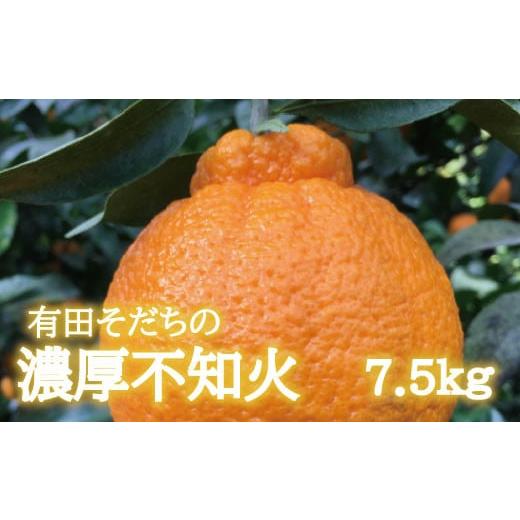 ふるさと納税 みかん・柑橘類 デコポン 和歌山県 串本町 先行予約 有田育ちの濃厚不知火(ご家庭用)(通称デコポン) 約7.5kg ard022B