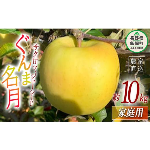 ふるさと納税 りんご 長野県 飯綱町 りんご ぐんま名月 家庭用 10kg ファームトヤ 2025年11月中旬頃から2025年12月下旬頃まで順次発送予定 令和7年度収穫分 信…