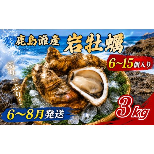 ふるさと納税 牡蠣 生牡蠣 茨城県 鹿嶋市 牡蠣 3kg 6〜15個 かき 岩かき 岩がき 旬 岩牡蠣 貝 天然かき 海産物 シーフード 海 鹿島灘 鹿島灘産 濃厚 国産 クリ…