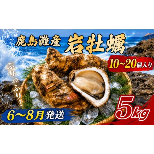ふるさと納税 牡蠣 生牡蠣 茨城県 鹿嶋市 牡蠣 5kg 10〜20個 かき 岩かき 岩がき 旬 岩牡蠣 貝 天然かき 海産物 シーフード 海 鹿島灘 鹿島灘産 濃厚 国産 ク…