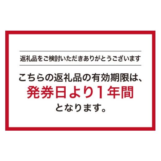 ふるさと納税 服 男 島根県 江津市 メンズ GINZA Global Style オーダースーツ 商品券（60,000円券） GS-6 メンズ オーダースーツ オーダーメイド スーツ 券 …の画像