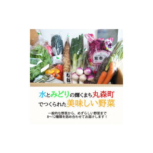 ふるさと納税 セット・詰合せ 宮城県 丸森町 季節のおすすめ野菜おまかせ詰め合わせBOX 8種〜12種類 通常サイズ 野菜セット 15000円 16101_2