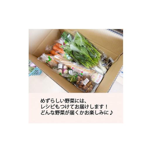 ふるさと納税 セット・詰合せ 宮城県 丸森町 季節のおすすめ野菜おまかせ詰め合わせBOX 8種〜12種類 通常サイズ 野菜セット 15000円 16101_3