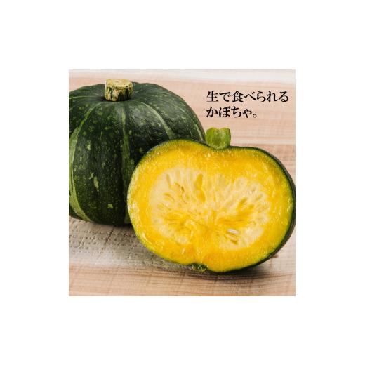ふるさと納税 セット・詰合せ 宮城県 丸森町 季節のおすすめ野菜おまかせ詰め合わせBOX 8種〜12種類 通常サイズ 野菜セット 15000円 16101_4