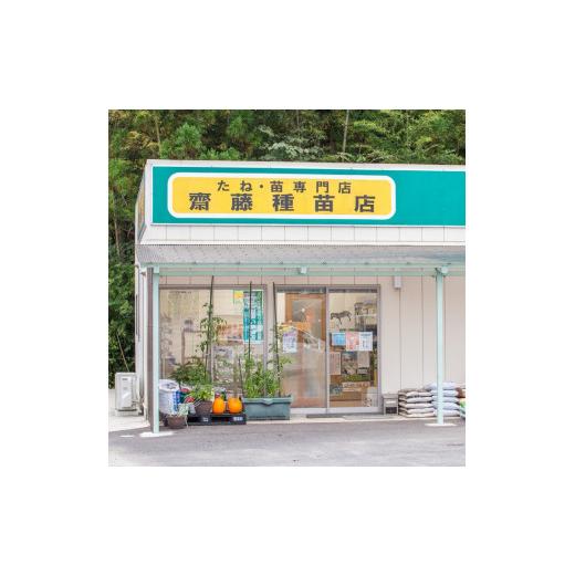 ふるさと納税 セット・詰合せ 宮城県 丸森町 季節のおすすめ野菜おまかせ詰め合わせBOX 8種〜12種類 通常サイズ 野菜セット 15000円 16101_6