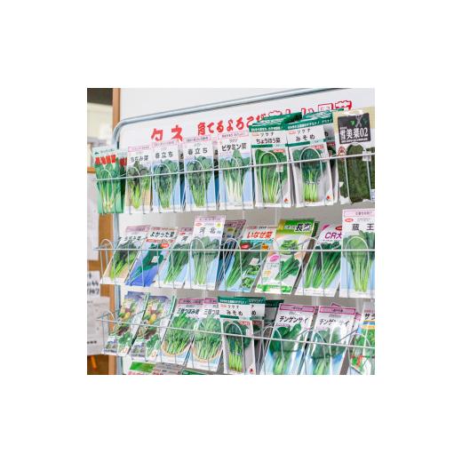 ふるさと納税 セット・詰合せ 宮城県 丸森町 季節のおすすめ野菜おまかせ詰め合わせBOX 8種〜12種類 通常サイズ 野菜セット 15000円 16101_8