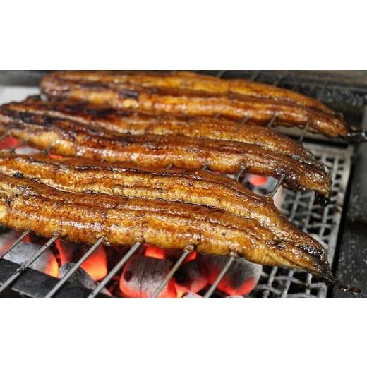 【訳あり品】 ふるさと納税 愛知県 名古屋市 【全４回定期便】　国産うなぎ蒲焼　約180g×2尾・たれ・山椒　【炭火・職人手焼き「和食竜むら」】 【VQ1135595620】(40000円)