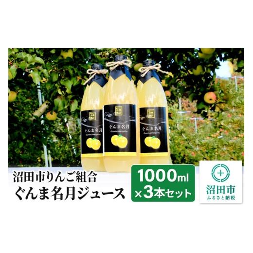 ふるさと納税 果汁飲料 りんご 群馬県 沼田市 [2027年1月中旬〜2月上旬発送]沼田市りんご組合 ぐんま名月ジュース(ストレート)1000ml×3本セット 林檎 り…