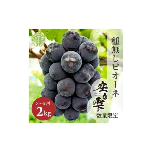 ふるさと納税 果物類 ぶどう 広島県 世羅町 種無しピオーネ 約2kg(3〜5房) ご家庭用・先行予約 数量限定 空の雫 ピオーネ ぶどう 葡萄 ブドウ フルーツ 果物 …