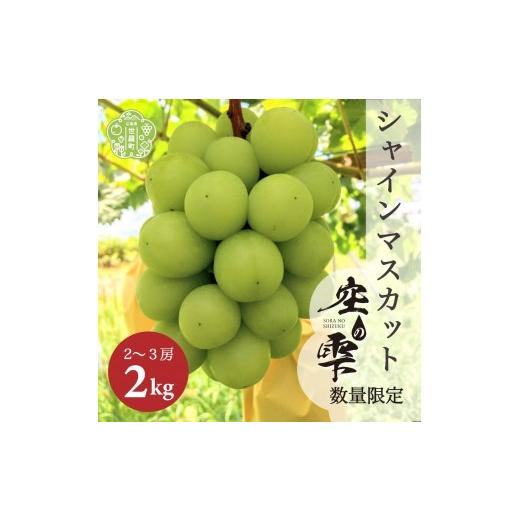 ふるさと納税 ぶどう マスカット 広島県 世羅町 シャインマスカット約2kg(4〜5房) ご家庭用・先行予約 数量限定 空の雫 シャイン マスカット ぶどう 葡萄 ブド…