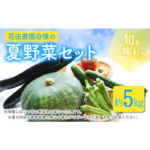 ふるさと納税 セット・詰合せ 福岡県 鞍手町 夏野菜セット 約5キロ 花田農園 [6月上旬-8月中旬頃出荷]トマト きゅうり オクラ かぼちゃ マクワ瓜 すいか ゴ…