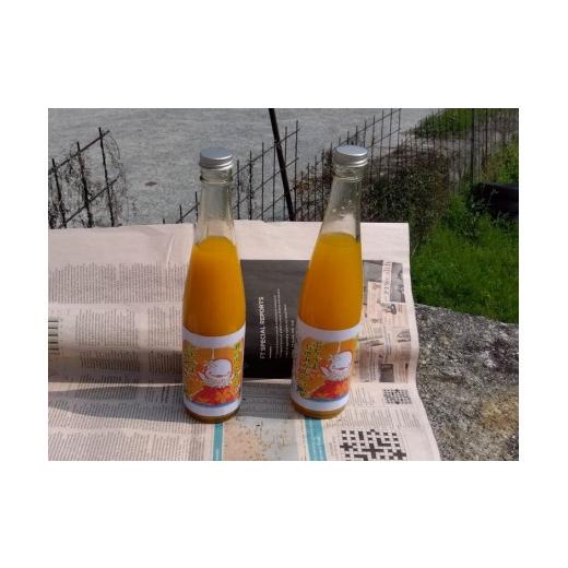 ふるさと納税 果汁飲料 みかん 山口県 周防大島町 みかんジュース 500ml 2本入り