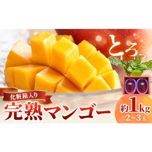 ふるさと納税 マンゴー 鹿児島県 さつま町 鹿児島県産 完熟マンゴー 化粧箱入り 約1kg 祝迫果樹園[6月中旬-7月中旬頃出荷]鹿児島県 さつま町 マンゴー 果実 …