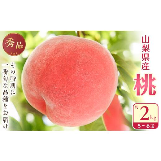 ふるさと納税 もも 山梨県 山梨市  2026年発送 桃 山梨市産 秀桃 約2kg 1080723の画像