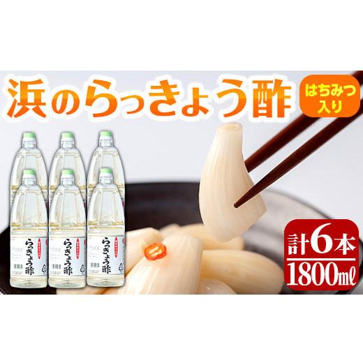 ふるさと納税 鹿児島県 さつま町 s411 はちみつ入り!浜のらっきょう酢(1800ml×6本セット) さつま町 特産品 お酢 漬物 らっきょう 梅 酢飯 新生姜 みょうが …