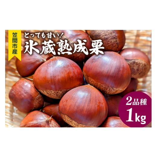ふるさと納税 果物類 栗 茨城県 笠間市 とっても甘い 氷蔵熟成栗 2品種 1kg ふかさわ農園 笠間の栗ブランド認証栗 栗 熟成 氷蔵 とっても甘い 1kg 10月10日以…