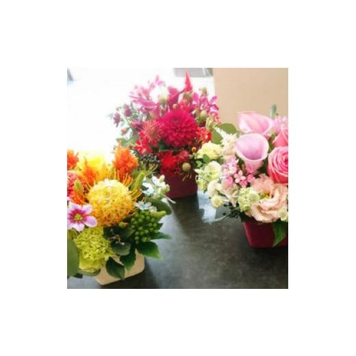 No.357 クロノス様 寄せ植え 花