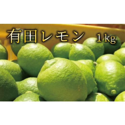 ふるさと納税 和歌山県 新宮市 [国産]紀州和歌山 有田レモン 約1kg