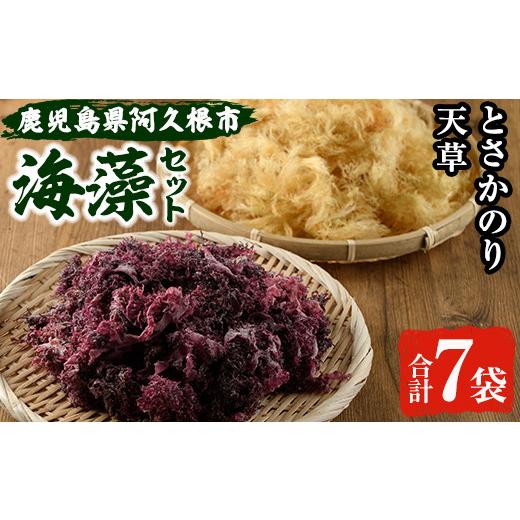 ふるさと納税 乾物 海藻 鹿児島県 阿久根市 阿久根の海藻セット「とさかのり・天草」(合計7袋) 国産 鹿児島県産 海藻 心太 おかず 料理 小分け 個包装 乾物 福…