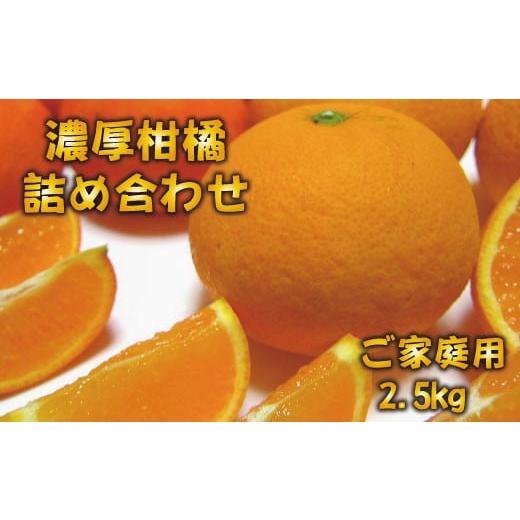 ふるさと納税 和歌山県 串本町 有田育ちの濃厚柑橘詰め合わせセット(ご家庭用) 約2.5kg