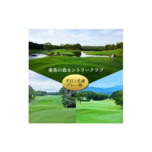 ふるさと納税 ゴルフ場利用券 兵庫県 加東市 東条の森カントリークラブ 平日 1名様 プレー券 東条の森CC ゴルフ 加東市 兵庫県 関西 ゴルフ場