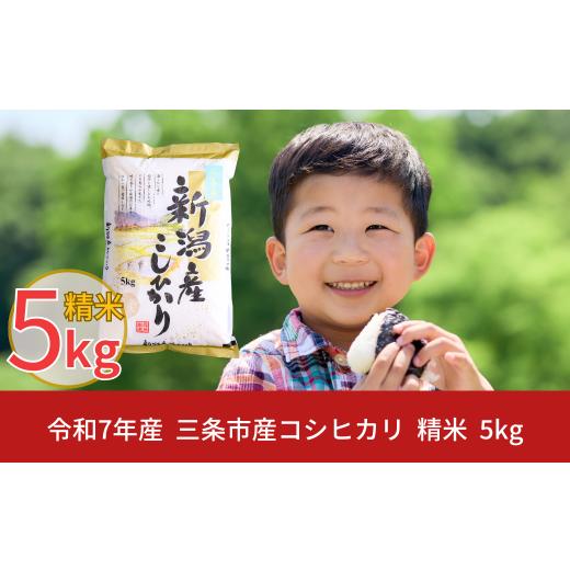 ふるさと納税 米 コシヒカリ 新潟県 三条市 新潟県三条市産 コシヒカリ 5kg こしひかり 令和7年産 米 株式会社白熊
